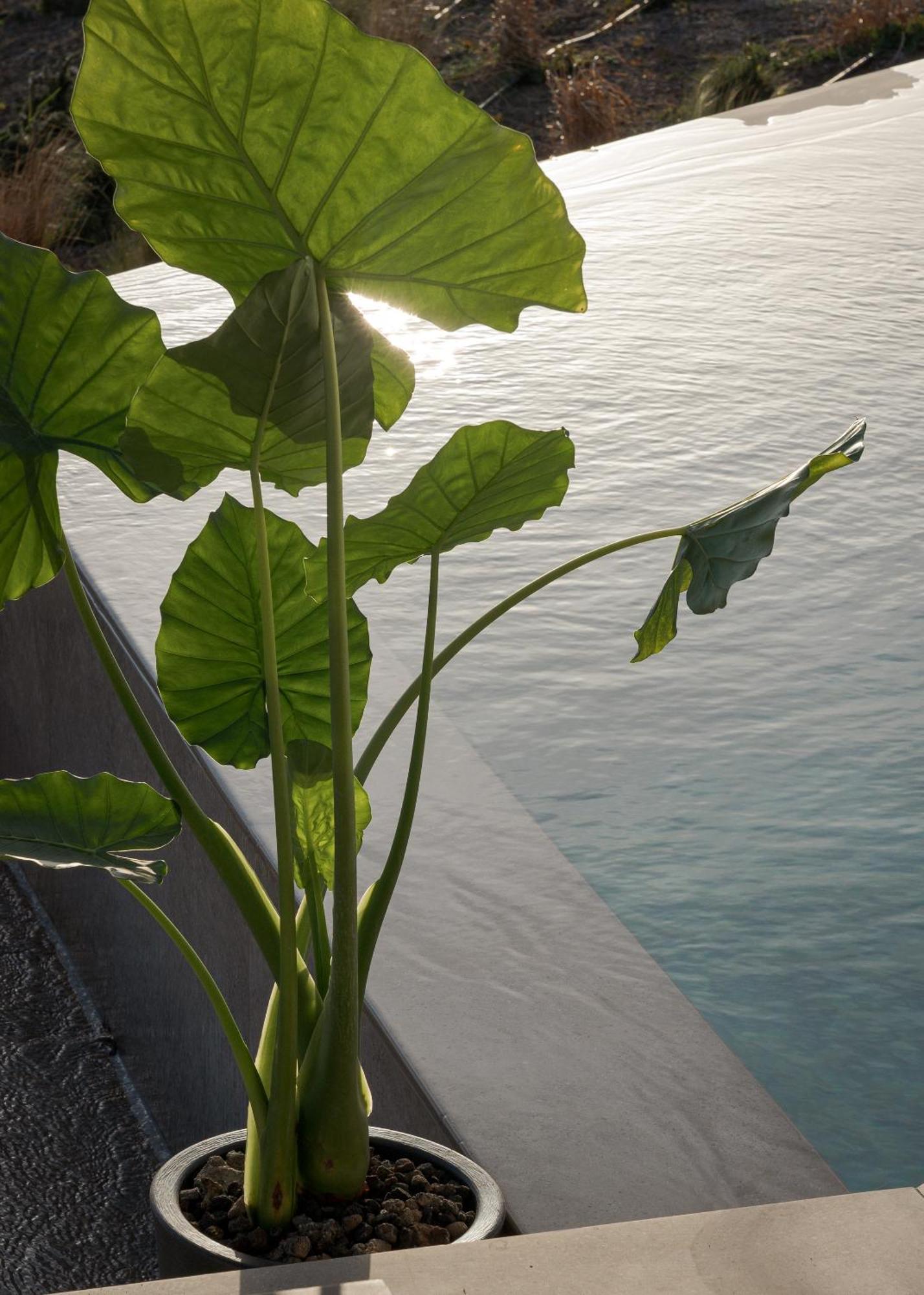 Neromai Cave Luxury Villas Koxare ห้อง รูปภาพ